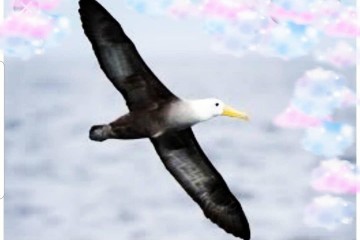 Değişmeyen geçmişe rağmen şekillendirilebilen Gelecek