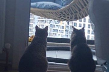 İstanbul'da Yağmur