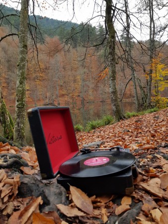 Sen Benim Şarkılarımsın